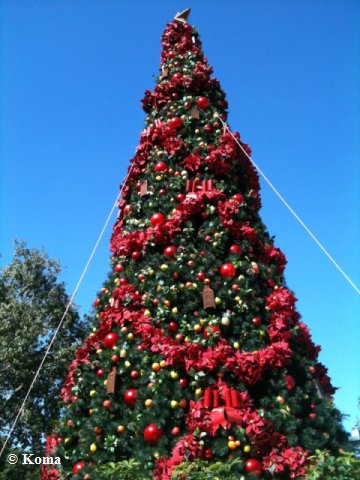 xmas2010_epcot6.jpg
