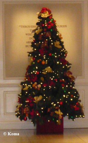 xmas2010_epcot8.jpg