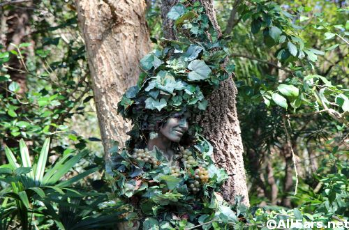 Animal Kingdom Divine