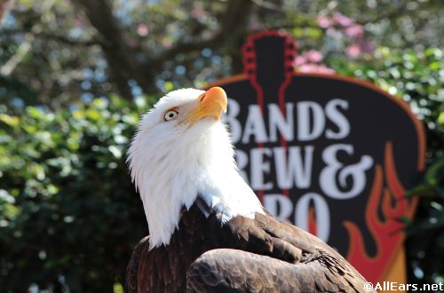 SeaWorld Bands Brew BBQ