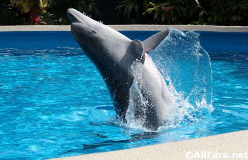 SeaWorld's Viva la Musica