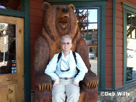 Bear