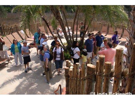 AllEars Kidani Village Tour