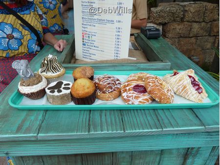 Animal Kingdom Walt Disney World