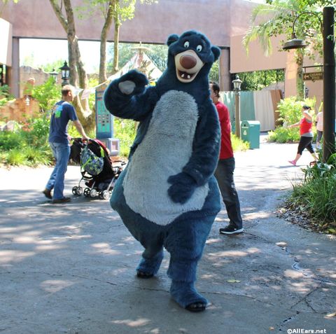 animal-kingdom-may-2016a10.JPG