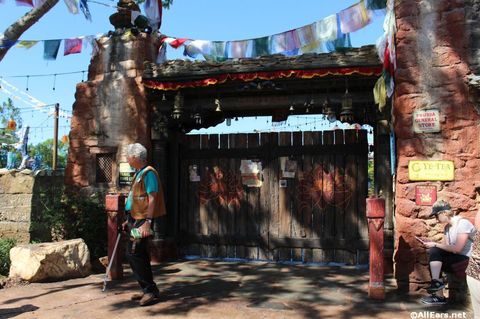 animal-kingdom-may-2016a5.JPG