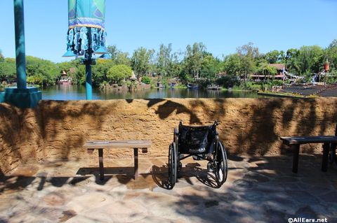 animal-kingdom-may-2016a6.JPG