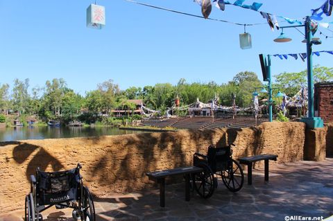 animal-kingdom-may-2016a7.JPG