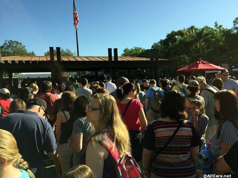 animal-kingdom-may-2016d.JPG