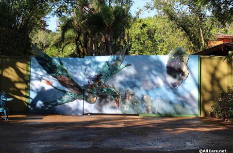 animal-kingdom-may-2016j.JPG