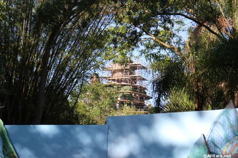 animal-kingdom-may-2016l.JPG