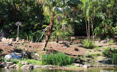 animal-kingdom-may-2016s.JPG