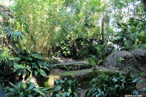 animal-kingdom-may-2016s1.JPG