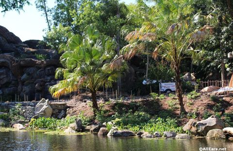 animal-kingdom-may-2016s2.JPG