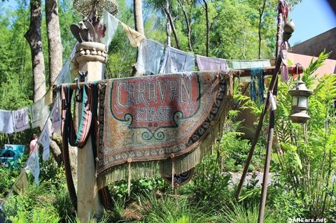 animal-kingdom-may-2016u.JPG