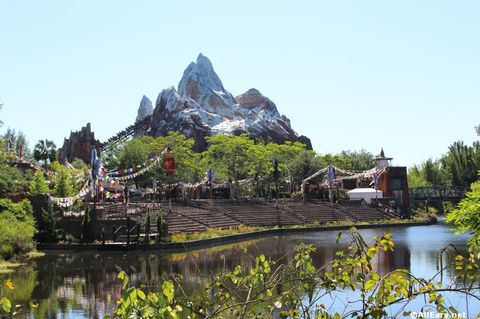 animal-kingdom-may-2016w.JPG