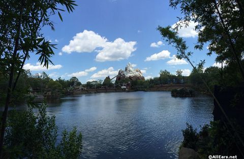 animal-kingdom-may-2016x.JPG