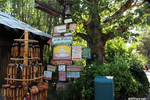 animal-kingdom-may-2016y.JPG