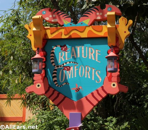 Animal Kingdom Abdim Stork