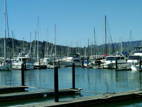deb-wills-sausalito.jpg