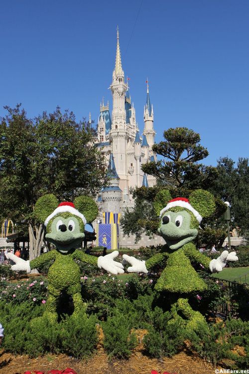 dec17-2013-5.JPG