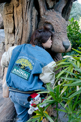 All Ears Meet and Greet at Animal Kingdom