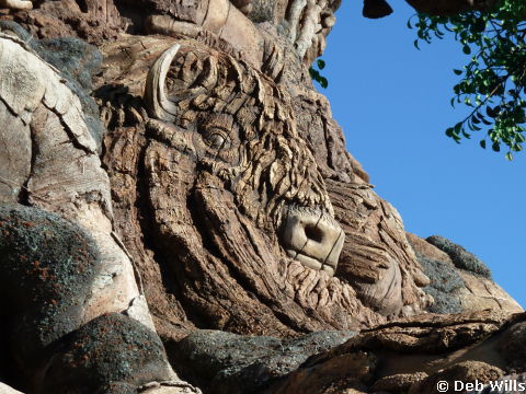 All Ears Meet and Greet at Animal Kingdom
