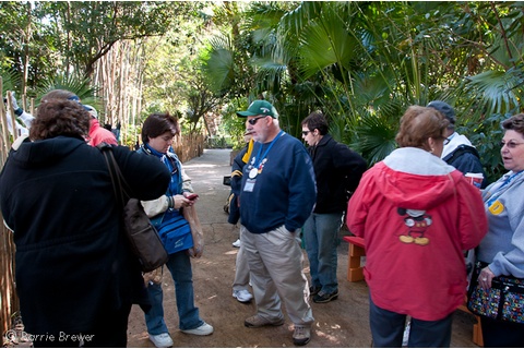 All Ears Meet and Greet at Animal Kingdom