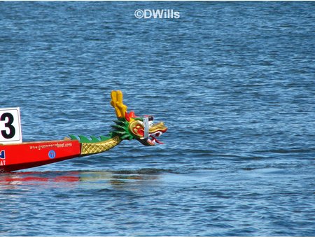 Dragon Boat Race