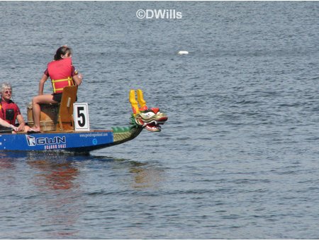 Dragon Boat Race