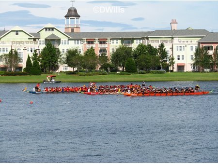 Dragon Boat Race