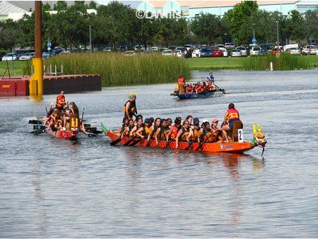Dragon Boat Race