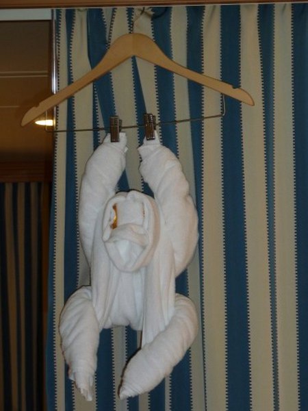 towel animal