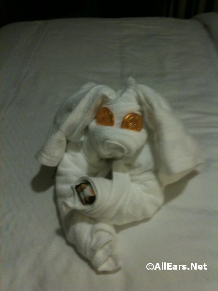 towel animal