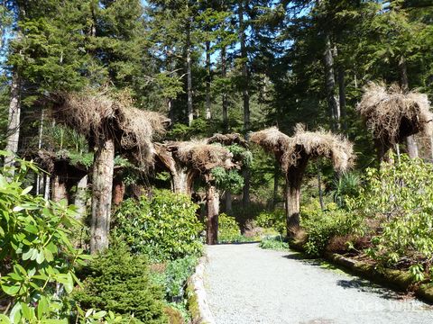 Disney Wonder Juneau Alaska Glacial Gardens 