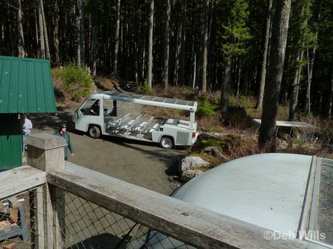 Disney Wonder Juneau Alaska Glacial Gardens 