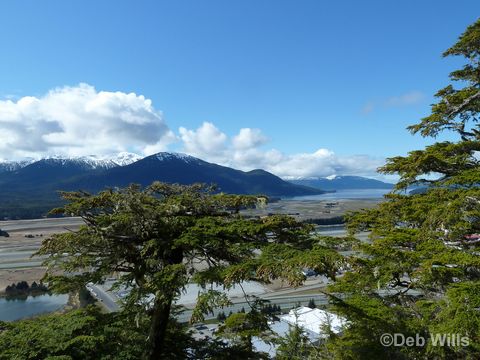 Disney Wonder Juneau Alaska Glacial Gardens 