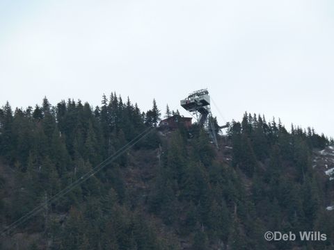 Disney Wonder Juneau Alaska