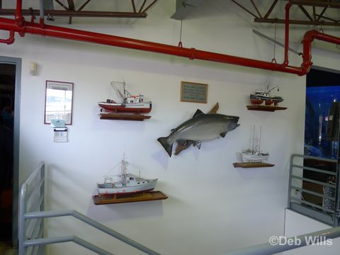 Disney Wonder Juneau Alaska Maccaulay Salmon Hatchery 