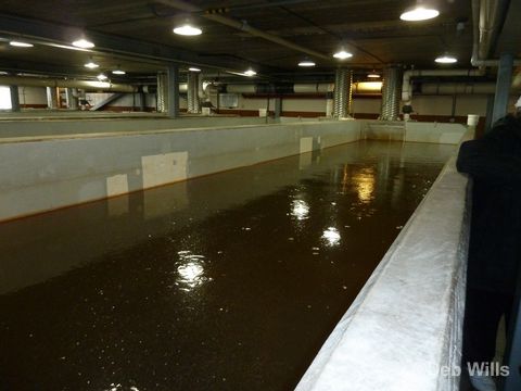 Disney Wonder Juneau Alaska Maccaulay Salmon Hatchery 
