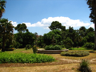 palermo9.jpg