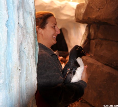 penguin-up-close-tour-6.JPG