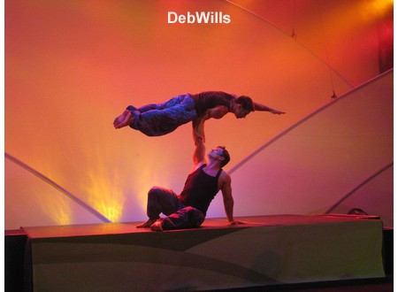 Party for the Senses 2008 - Entertainment