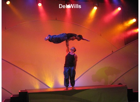 Party for the Senses 2008 - Entertainment