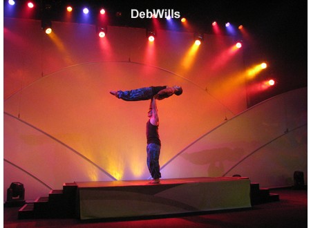 Party for the Senses 2008 - Entertainment