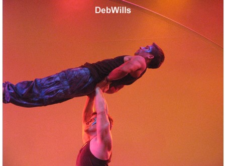 Party for the Senses 2008 - Entertainment