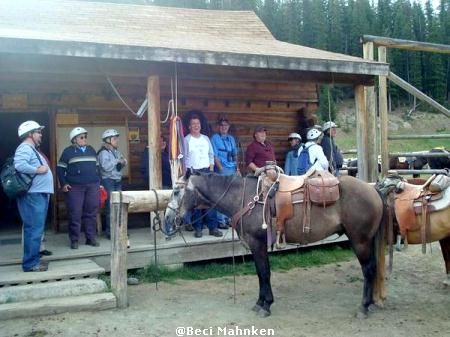 Let's Saddle Up!