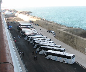 Buses line up at the Port for our excursions