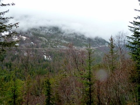 Disney Wonder Skagway Alaska
