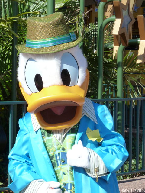 Donald's new Costume at Disney's Hollywood Studios